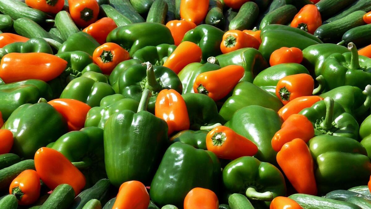 Can guinea pigs discount eat orange bell peppers